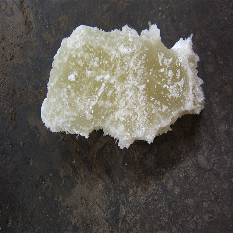 淫荡逼网址